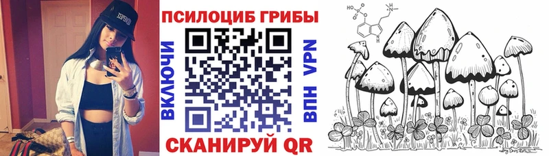 Купить Венёв Псилоцибиновые грибы ЛСД